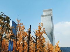 -百林公园-两江幸福广场