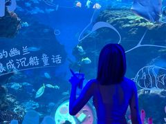 -海合安成都极地海洋公园