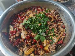 -食神又名厕所兔