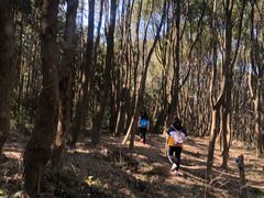 -青龙山国家森林公园