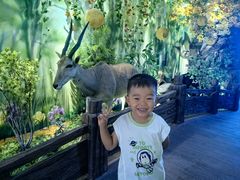 -西霞口神雕山野生动物世界