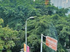 -李子坝梁山鸡(李子坝大鸡哥店)