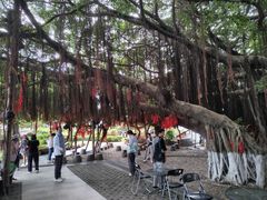 -胡里山炮台