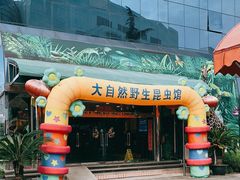 -上海大自然野生昆虫馆(东方明珠·爬宠昆虫探索中心)