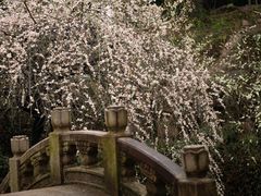 -北寺塔