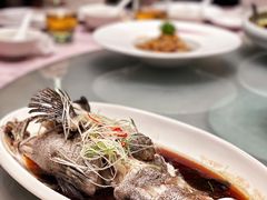 清蒸石斑鱼-大中华希尔顿酒店·兰亭潮中餐厅·粤菜