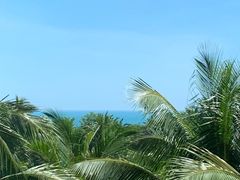 -三亚湾海居铂尔曼度假酒店