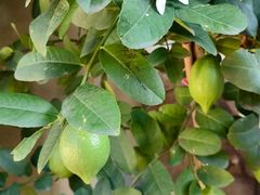 -青岛遇见米兰(八大关店)