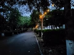 -华侨大学(厦门校区)