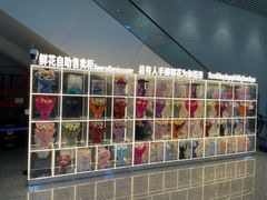 -广州白云国际机场-T2航站楼