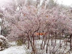 -金家休闲餐吧(金家小吃四店)