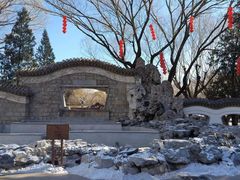 -团结湖公园