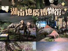 -湖南省地质博物馆
