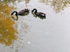 -长白岛森林公园