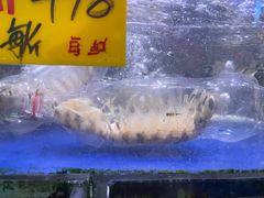 -四海之家(蛇口店)