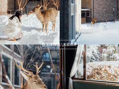 -长白山鲁能胜地瑞士酒店-度假村·怡客全日制餐厅