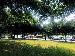 -四川大学(望江校区)
