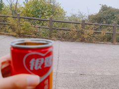 -府君山公园