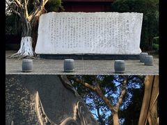 -厦门园林博览苑