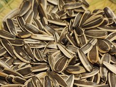 -阆辣荟餐饮(老味道8年·古城店)