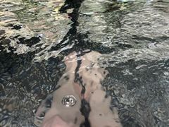 -厦门日月谷温泉渡假村