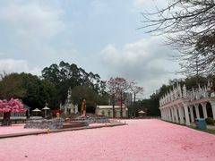 -龙凤山庄影视度假村