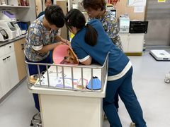 -康成宠物医院24H·CT·核磁共振