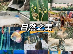 -荆州中山公园动物园