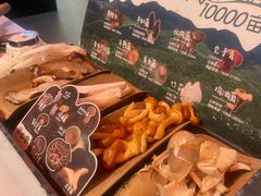 -芸山季·云南野生菌火锅(人民广场来福士店)