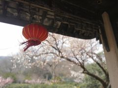 -雨花胜境