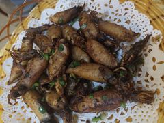 -华兴餐厅·招牌生鱼片(桃园路店)