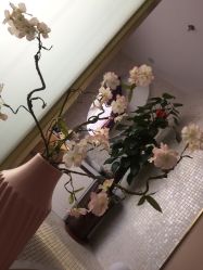 -瀞莱美美容中心