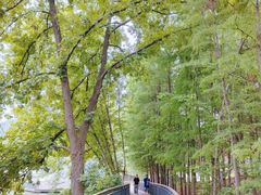 -月湖风景区