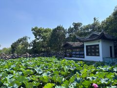 -无锡蠡湖国家湿地公园-蠡园