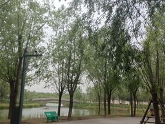 -东郊湿地公园