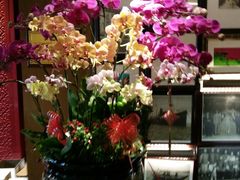 -厦门海港英迪格酒店(中山路店)