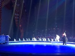 -珠海横琴长隆《卡卡虎奇遇记》