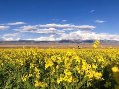 -青海湖国家重点风景名胜区