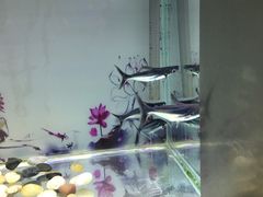 -秦皇岛新澳海底世界