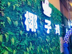 -南国锋味椰子鸡(瀚海店)