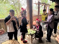 -西双版纳原始森林公园