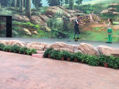 -美的鹭湖探索王国