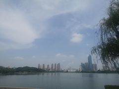 -古琴台