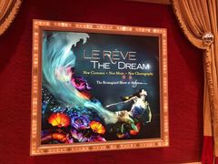 -拉斯维加斯永利酒店