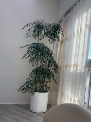 -HEYAN荷妍专业脱毛连锁机构