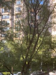 -北京俪婴妇产医院(朝阳大悦城店)