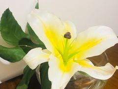 -赤火牛排(金狮广场店)