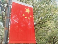 -上海交通大学医学院附属瑞金医院(总院)