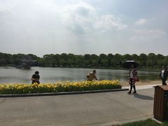 -上海鲜花港