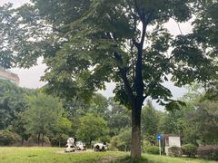 -沙河三洞古桥公园